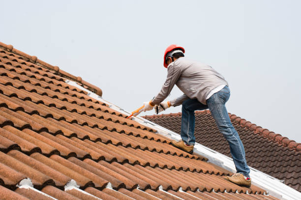 Fast & Reliable Emergency Roof Repairs in Gloverville, SC